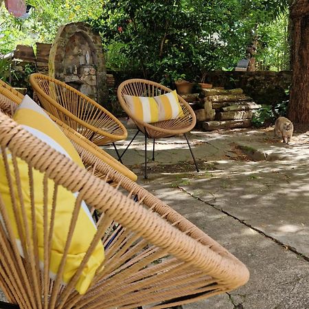 Le Jardin Aux Camelias Apartment Ла Рош-сюр-Йон Екстериор снимка